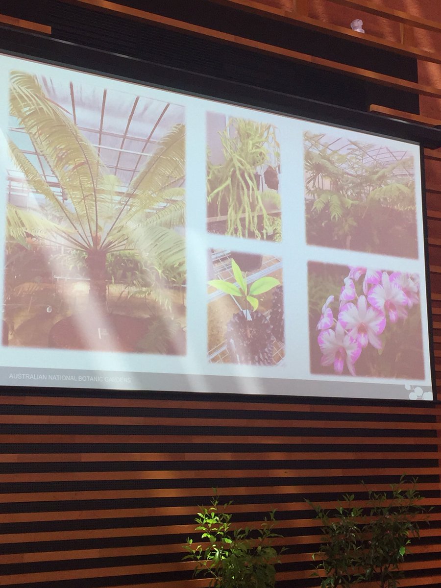 MHMinsight's tweet photo. .@ANBG taking us on a virtual tour of  the new Conservatory! We’re keen to see which Culture Segments would love this #BGANZCongress #MHMAus https://t.co/dTrXqjBZM1