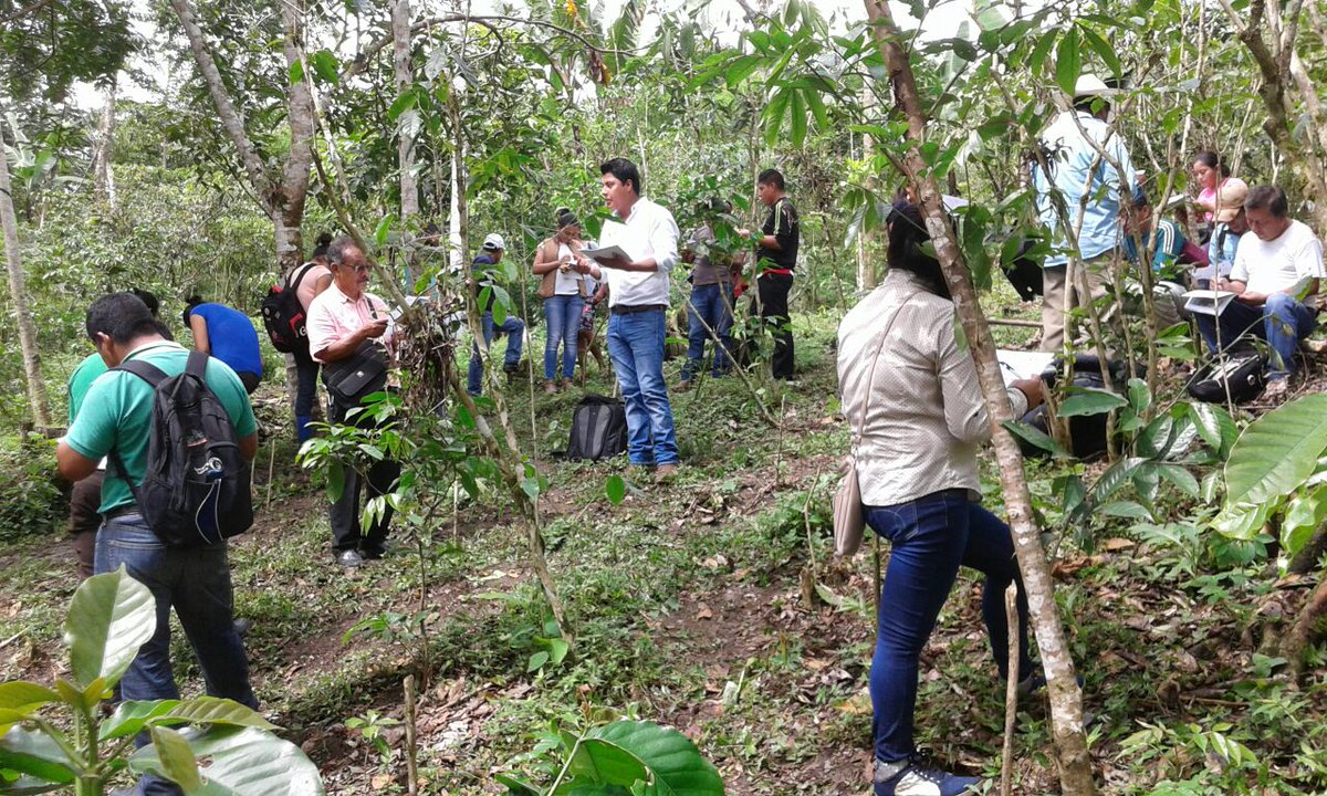 aagroriver's tweet photo. Evaluacion en el EC0272 Cosecha de cafe en Yajalon Chiapas, @PerlaIbaez2 @incarural @LeticiaInca @Mely_Romero https://t.co/jGvT4PdNnH