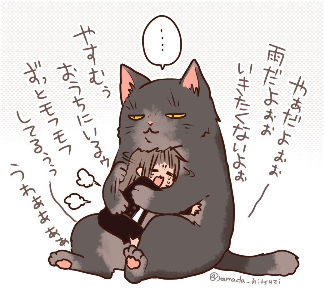 ダメな人間を宥めながら、また洗濯物たまるなあ…などと考えている水仕事もへっちゃらなデキる猫(♂5歳) 