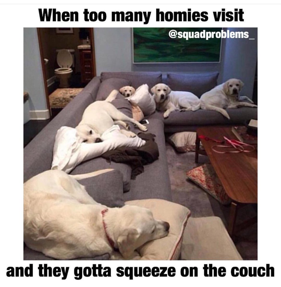 Squadproblems_'s tweet photo. Group Sleeeeeeep #squadproblems https://t.co/ztk7G3ZUJU