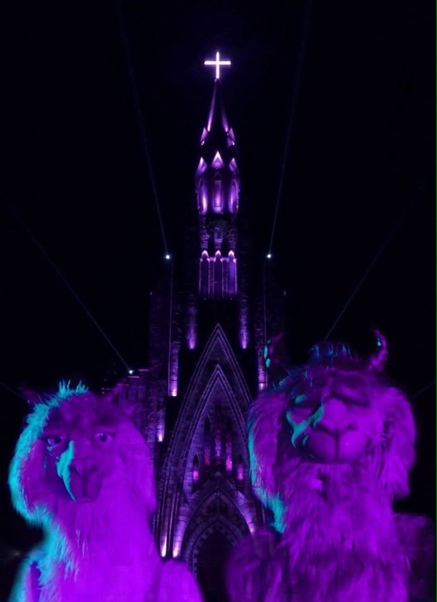 FOBManiaBR's tweet photo. Our furry friends are already on tour, now we need @falloutboy to release the M A N I A wave across Brazil ๐ง๐ท๐#BringMANIAToBrazil https://t.co/112TPEb2QM
