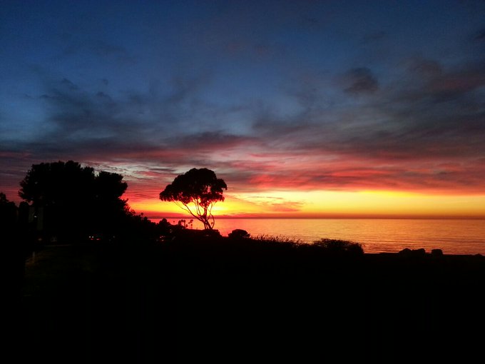 Malaga Cove, Palos Verdes, California from a few years ago. -an S.L. Fan Submission @Head_Outdoors  -S<a href="/tag/nobraday"class="tags"><span>#nobraday</span></a>