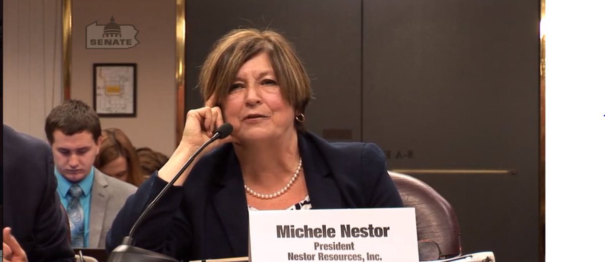 MicheleNestor's tweet photo. Testifying before the #PASenate #Environmental Resources & Energy Committee on #ewaste. Support #SB800 to #FixCDRA. https://t.co/qhcOUdNXUH