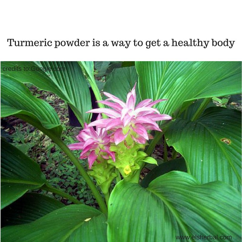 elsherbal's tweet photo. #healthybody
#quibvcaiturmericpowder
#digitalmarketing
Visit https://t.co/4HEGTlvE7x https://t.co/Kylk8sHwKE