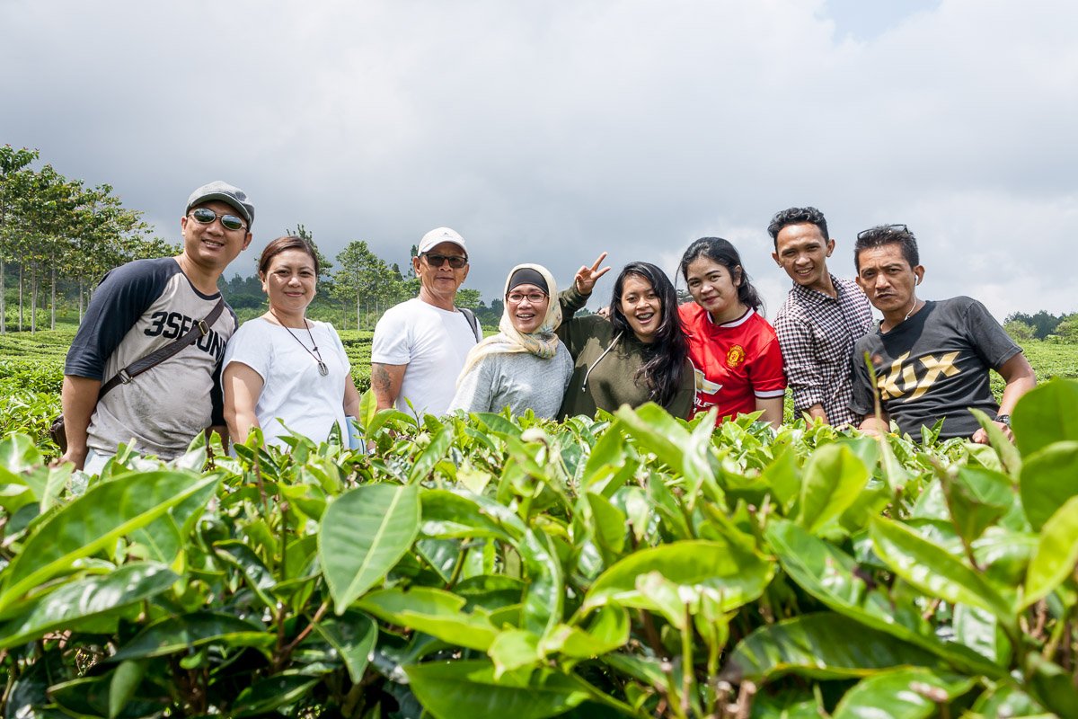 ALL SEDAYU Klp Gdg tweet media