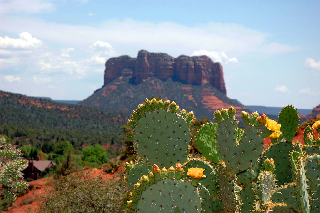 USNewsTravel's tweet photo. 19 stunning reasons to book a trip to Sedona: https://t.co/5muQZAW81u https://t.co/yNTZ9Itq8m