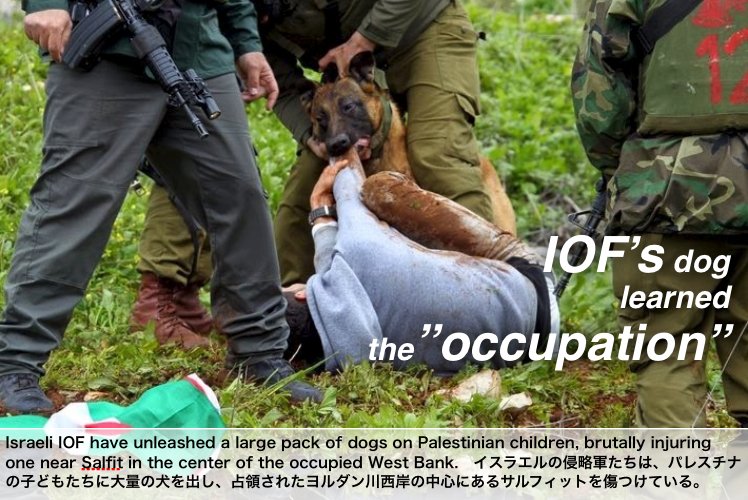 178kakapo's tweet photo. One example of the cowards╲😡

❝"God's Chosen" #IOF unleash dog pack on #Palestinian kids
https://t.co/qMIeSeWqOt❞

#FreePalestine 🇵🇸 https://t.co/CLh2ztIdyB
