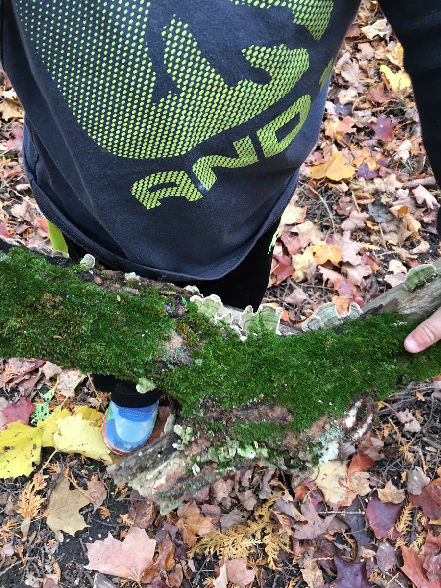 DGH Kindergarten tweet media