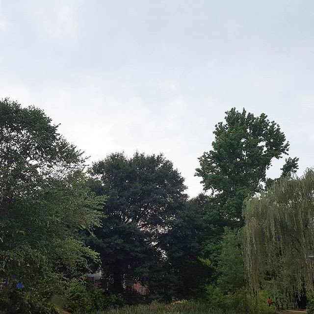 Reposting <a href="/nimolugundi/">BeautyGeek</a>:
#nature #nature_brilliance #naturelovers #sky #nature_lovers #tree #tree_magic #trees #beautiful #love