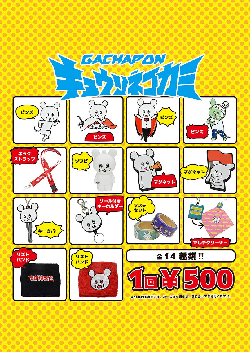 キュウソネコカミ🐁 on X: 