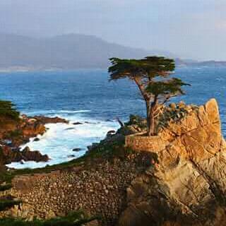 #nature.