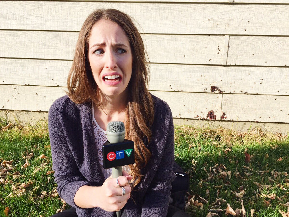 lwoodwardCTV's tweet photo. Here's what to do if you see maple bugs in or around your home. Step one: make this face #maplebugs #yxe #yqr #sask https://t.co/Y0dlQaNxF0 https://t.co/pr7uIknpsF