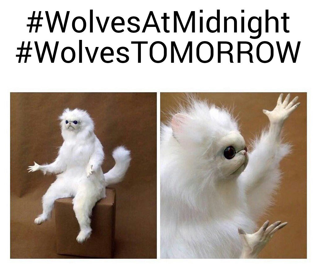 FrancoxEmanero's tweet photo. #WolvesAtMidnight #WolvesTOMORROW https://t.co/z4wsCFfmtn