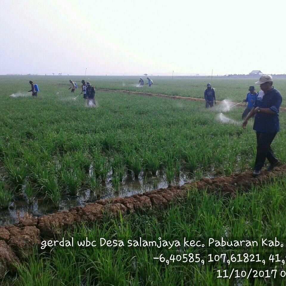 distanhortijbr's tweet photo. Kegiatan hari ini
#POPT
#PENYULUH
#UPTD
. @dsapaat https://t.co/STRwTiOi07