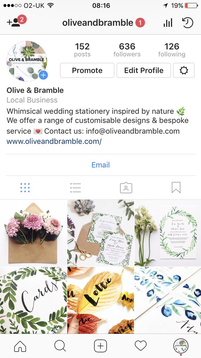 oliveandbramble's tweet photo. Come see what we've been up to over on instagram 🌿 https://t.co/7IgcJhy5s8 https://t.co/c89mNam4zF
