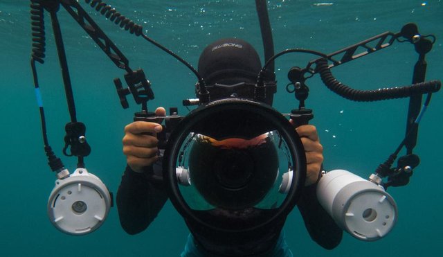 Sue756's tweet photo. Our #ThinkRevolutionist @thehydrous creates 🌎 impact using our #P900 series to digitize coral reefs #saveourseas... https://t.co/5YyXQHDN4b https://t.co/BGkolM9Xb0