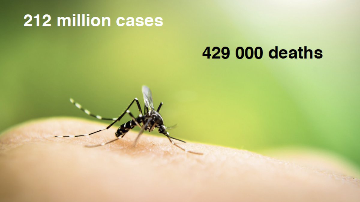 Sydney_Science's tweet photo. #malaria has taken a huge toll on the human population - all the more reason to work collaboratively to find an effective cure #breakinggoodproject @all_isee #sydneyscience https://t.co/PVdlWTPZEK