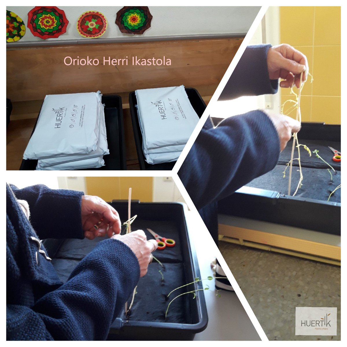 Huertik's tweet photo. @EHIkastolak Huertik proiektua martxan! Atzo hasi ginen #Orion #OrtuUrbanoa #hezkuntza #esperimentua #ikastola 🌱✌️ https://t.co/sKwidhLNn9