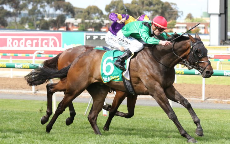GoldnersHT's tweet photo. #GoldnersTransported Weather With You. Now an early favourite for Vic Derby with convincing win in the Listed Geelong Classic @grandcidium https://t.co/VLfRQc7Nr7