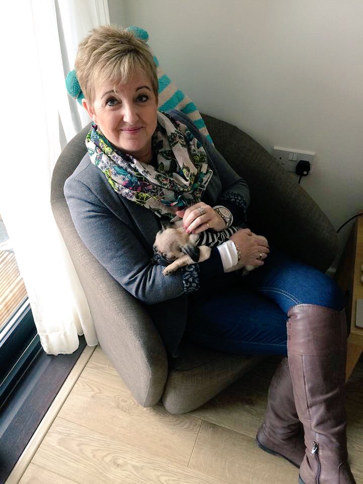 apugcalledpeggy's tweet photo. So #MommaL went to #Liverpool without me to see #pugdaddy & my @Collabro boys so I'm posting this to remind her what she's missing 🙊🙊❤️❤️🌈🐾🐾 https://t.co/UHnCGHgbd1