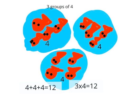 YollisClass's tweet photo. How many goldfish in all? #addition is related to #multipication #math #lvusd @Seesaw https://t.co/Cypm6TNlF7