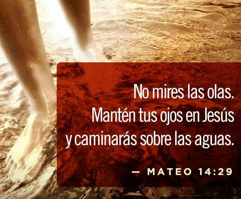 Hammer Acero Florez tweet media