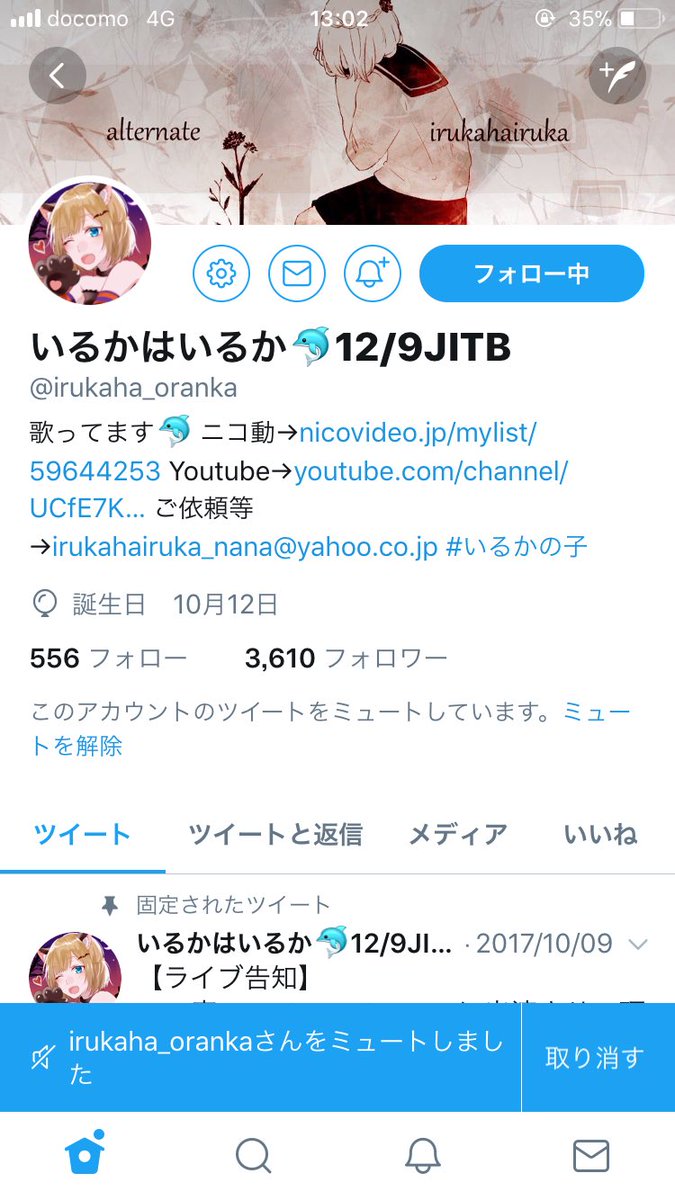 いるかはいるか どうぶつの森 Iruka Morimori Twitter