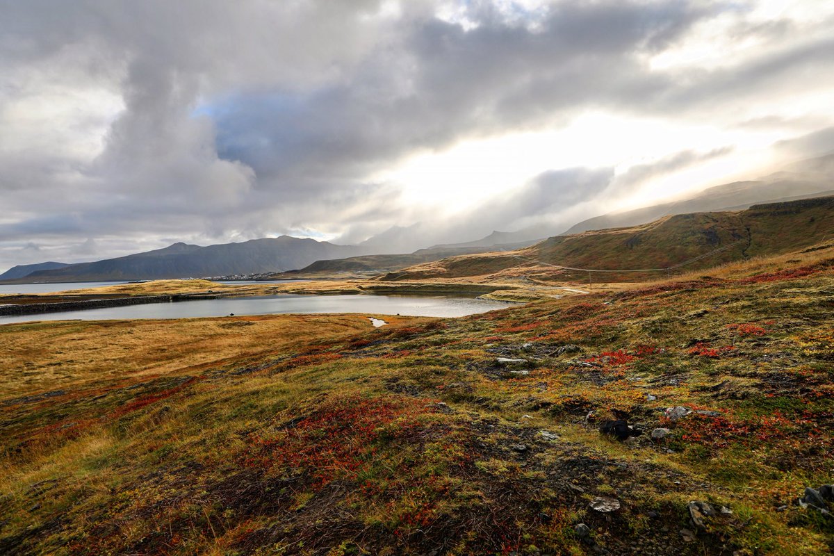 outsidetlimits's tweet photo. Missing these wide open spaces. #iceland #getlost #explore #travelphotography #fall #roadtrip #getoutside #sky #goodtimes #travel https://t.co/6K2J6VWbd1