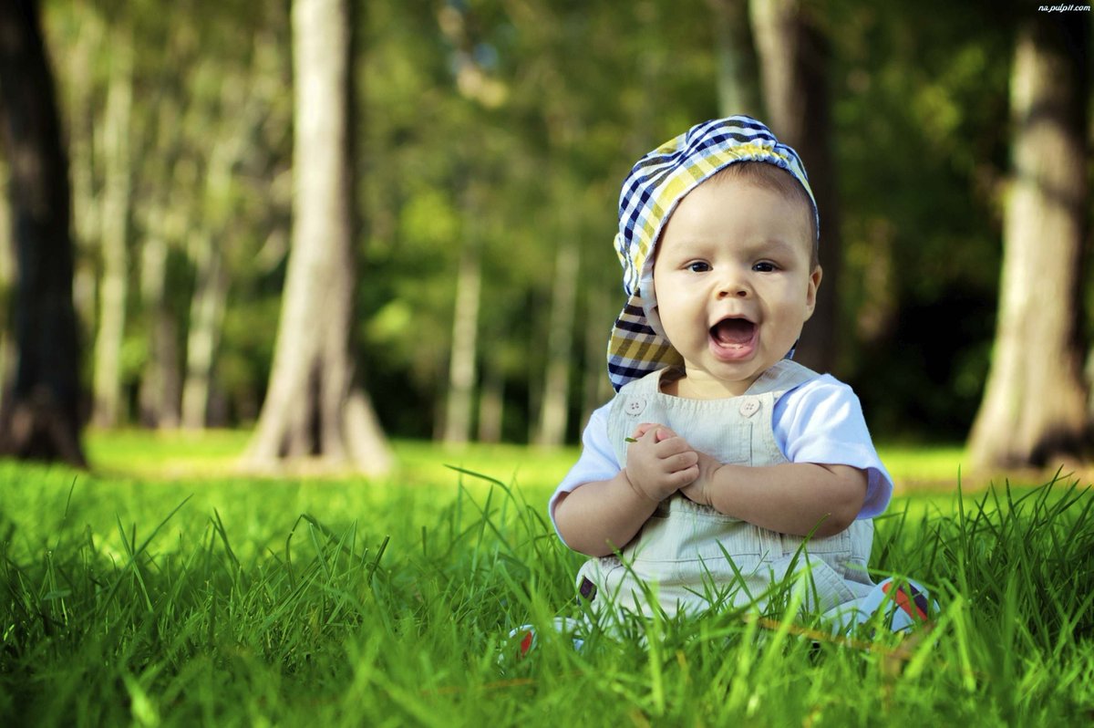 day_of_yeshua's tweet photo. "All your children will be taught by Adonai. Your children will have great shalom!"
#Yeshua #Millennium #Isa54 #TLV #RT2BlessIsrael https://t.co/7tPjDE1kQC