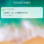 スマホ版「どうぶつの森」であるかも？動物からローンの徴収されるかも!