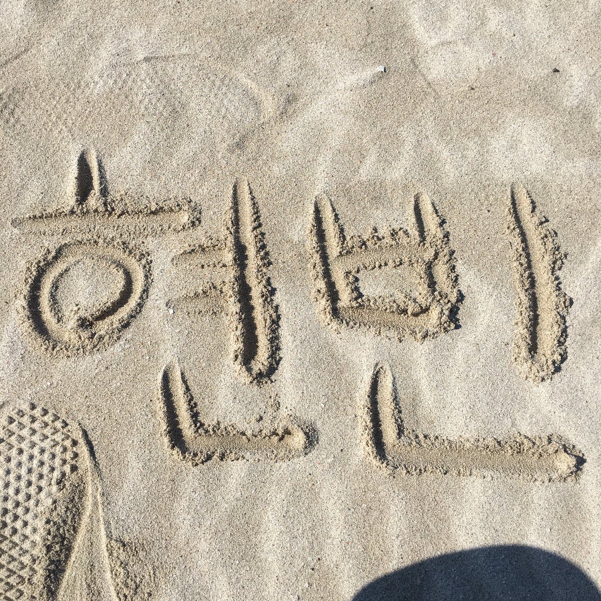 yangmalnn's tweet photo. 제주도와써욤 ✈️❤️ https://t.co/54NKd6pdMX