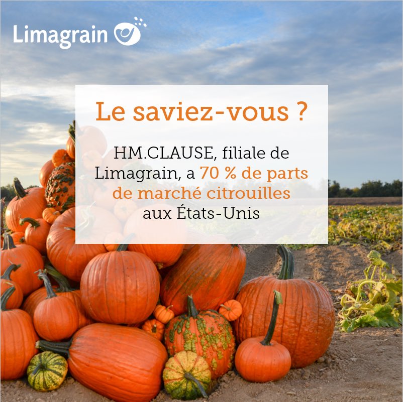 J - 6 avant la fête d'Halloween... Limagrain est présent aux Etats-Unis, un territoire où Halloween est une fête majeure dans l'année ! 👻🌽🎃