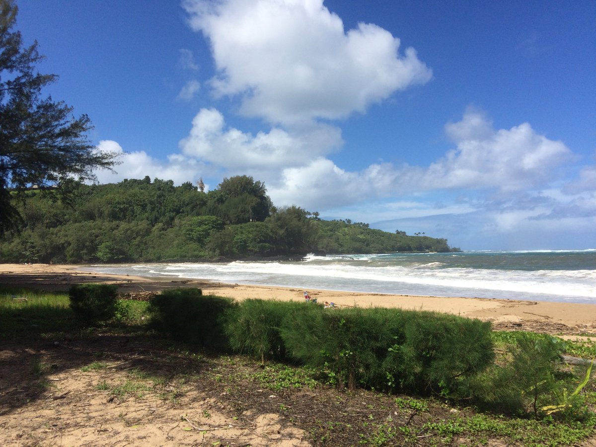 WillyLiX's tweet photo. Watching Jurassic Park, in Jurassic Park. https://t.co/wv8NustS8b