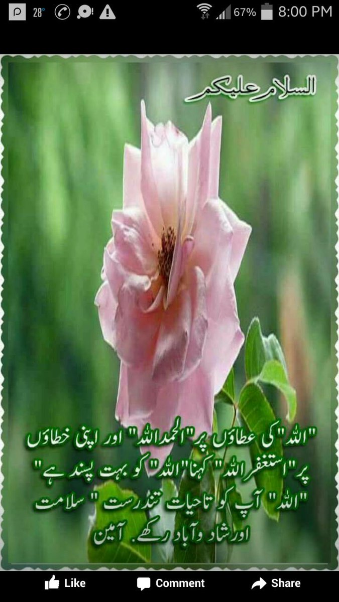HamzaAnie's tweet photo. https://t.co/5GlHJ6ZsfA