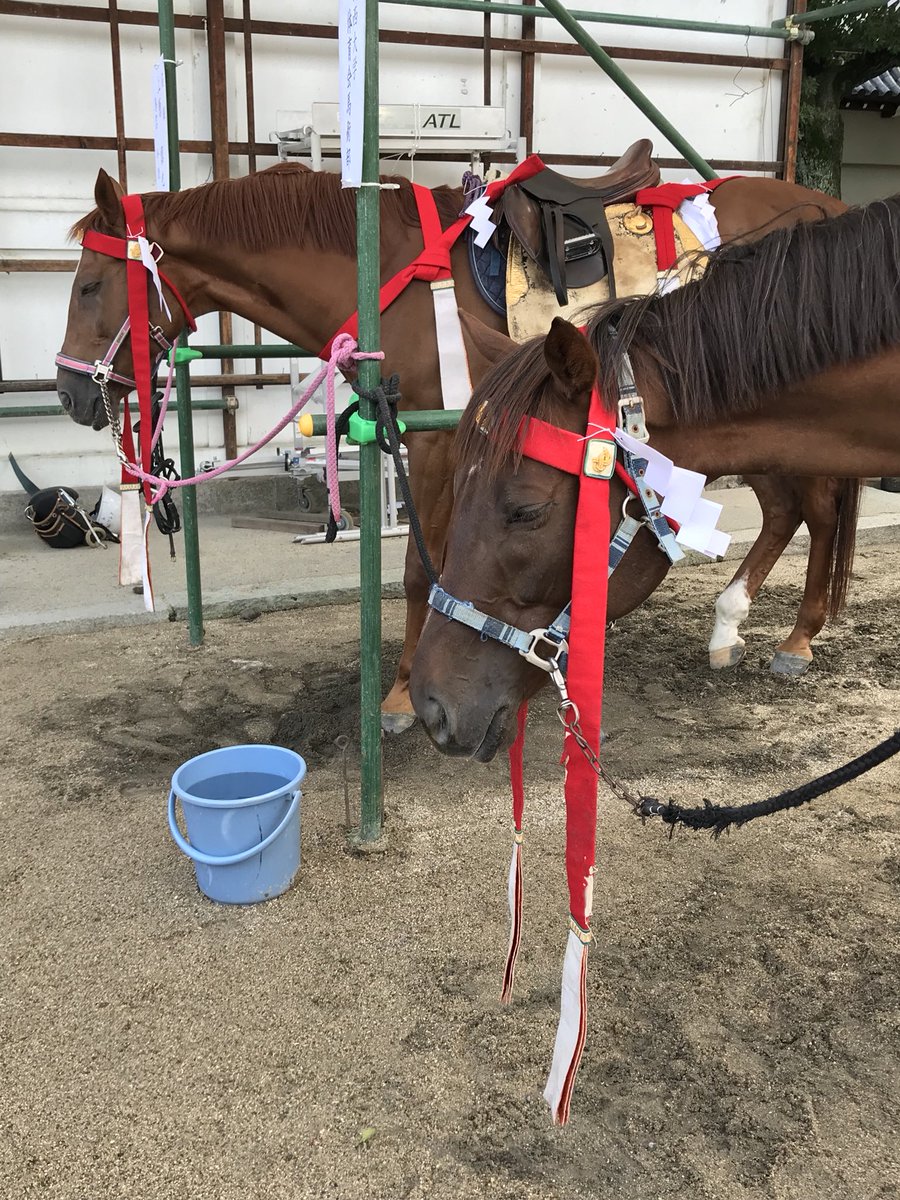 大阪天満宮 流鏑馬神事で馬が逃走 神主さんも巫女さんも警察も爆走追跡 Togetter 大阪天満宮 流鏑馬神事で馬が逃走 神主さんも巫女さんも警察も爆走追跡 Togetter