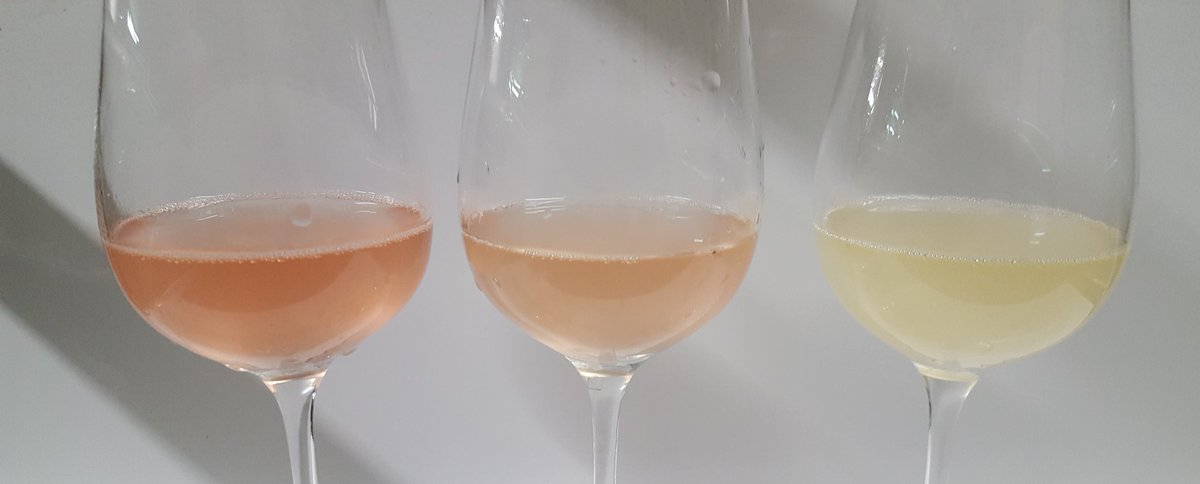 benoit51390's tweet photo. Trilogie #vendanges2017
#meunier #pinotnoir #chardonnay
#champagne
#wine
#Wineinfrance
#winemorning https://t.co/9Sx8NyjkgW