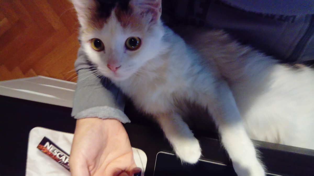 Секретарката