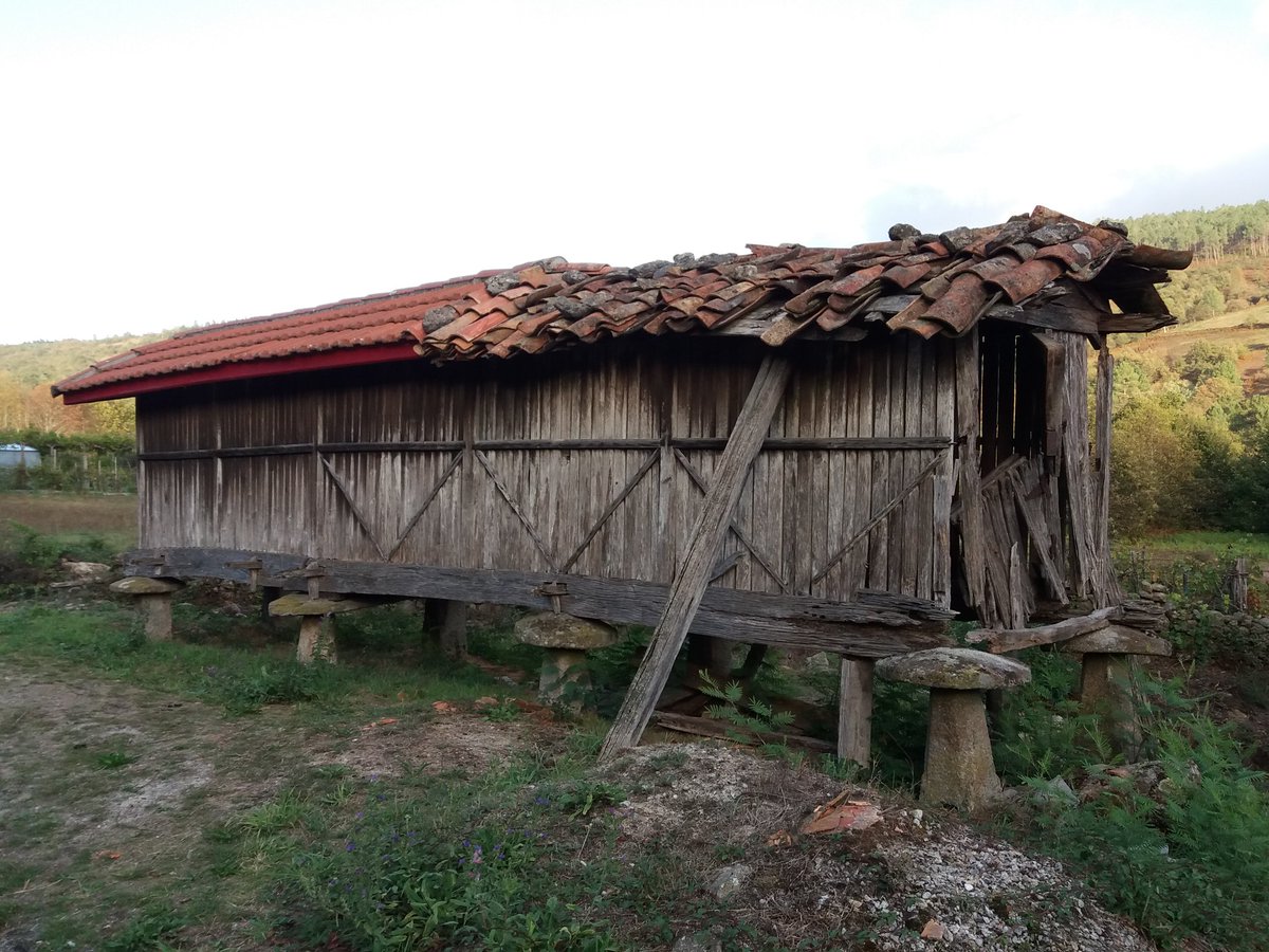 limiator's tweet image. Dualidade nun #canastro de #Facós (#Lobeira #Ourense) #hórreo #patrimoniogalego #despoboamento #avellentamento  @apatrigal #memoriarural