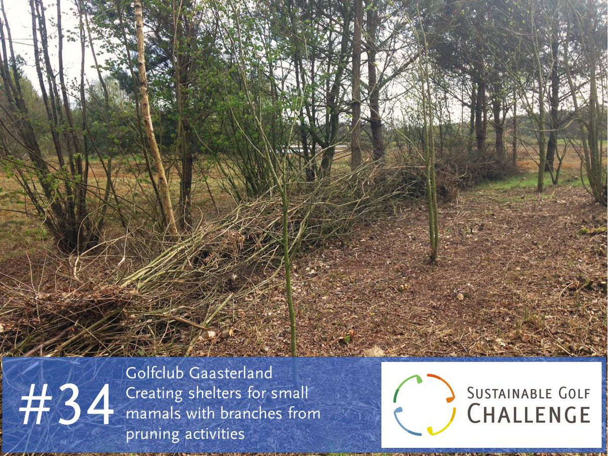 #bigyearchallenge #34: Fauna can use the rows of branches to migrate or as a shelter on <a href="/GCGaasterland/">Golfclub Gaasterland</a> #sustainablegolf