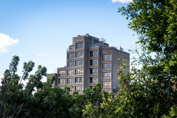 saveoursirius's tweet photo. Press Release: Reckless Out Of Touch Government Not Listening To The People Or Experts

https://t.co/UsqWHOWScs #saveoursirius https://t.co/cfVbqQaCTV