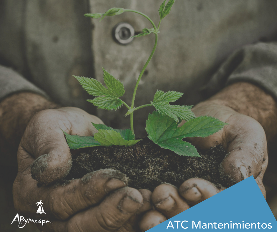 Apymespa's tweet photo. .@ATC_MANTTO está especializada en diseño de jardines, mantenimiento de piscinas y limpieza en general a comunidades
https://t.co/rKazlnVseE https://t.co/xFp1er0eFG