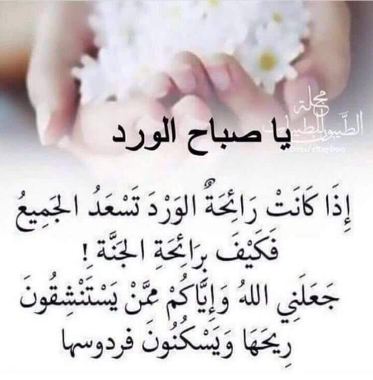 كربلائي الهويه (@krar95350) on Twitter photo 