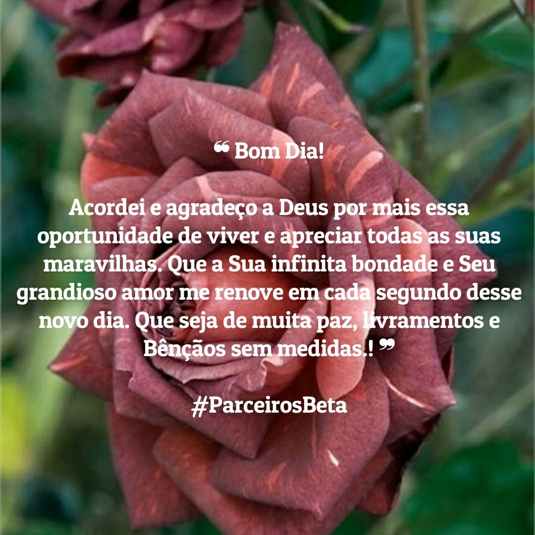 Bom dia! 🙏 #ParceirosBeta