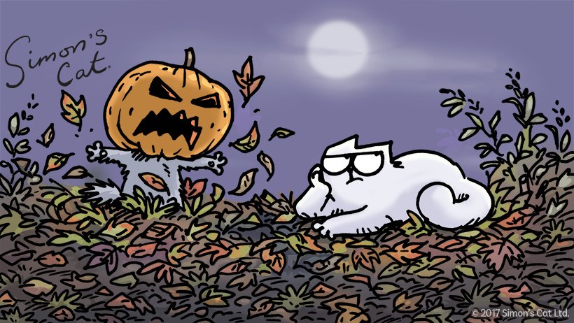 SimonsCat's tweet photo. Happy #FridayThe13th 😱🐱 https://t.co/j89zpfSCkE