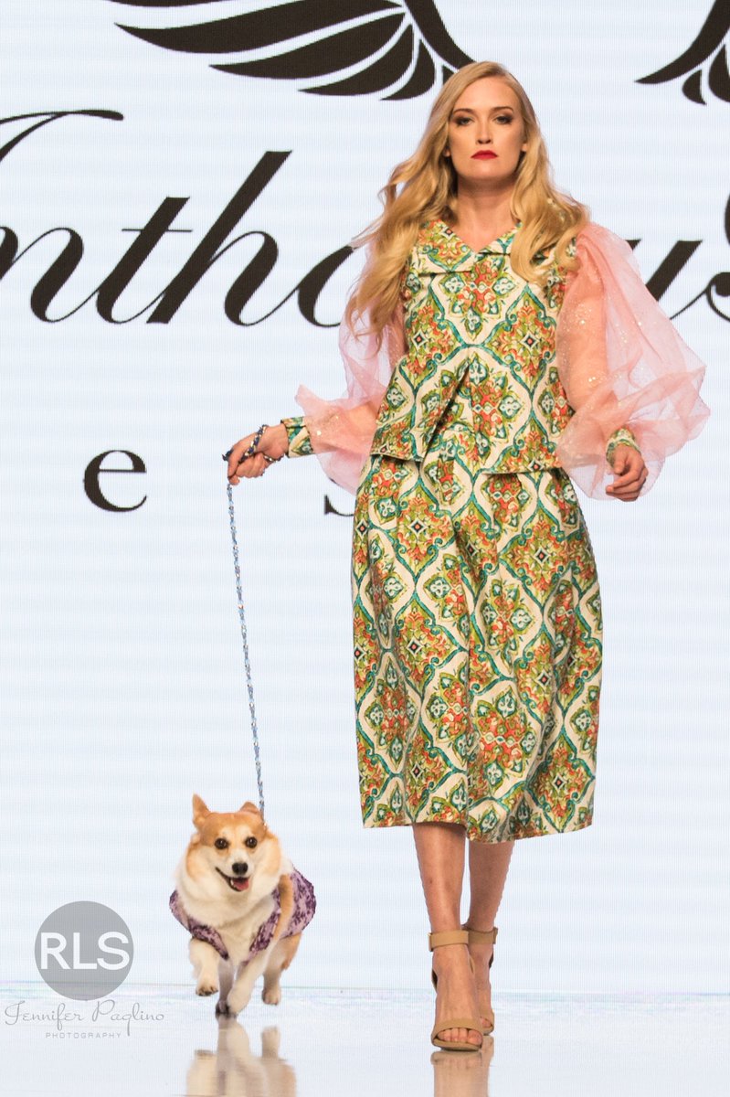 RLSmodelsphotog's tweet photo. @SneakersCorgi LA fashion week @RLSmodelsphotog @ArtHeartFashion @AnthonyRubio01 #dogs_of_instagram #dogsontherunway #FashionWeek https://t.co/xXehfOtyiv