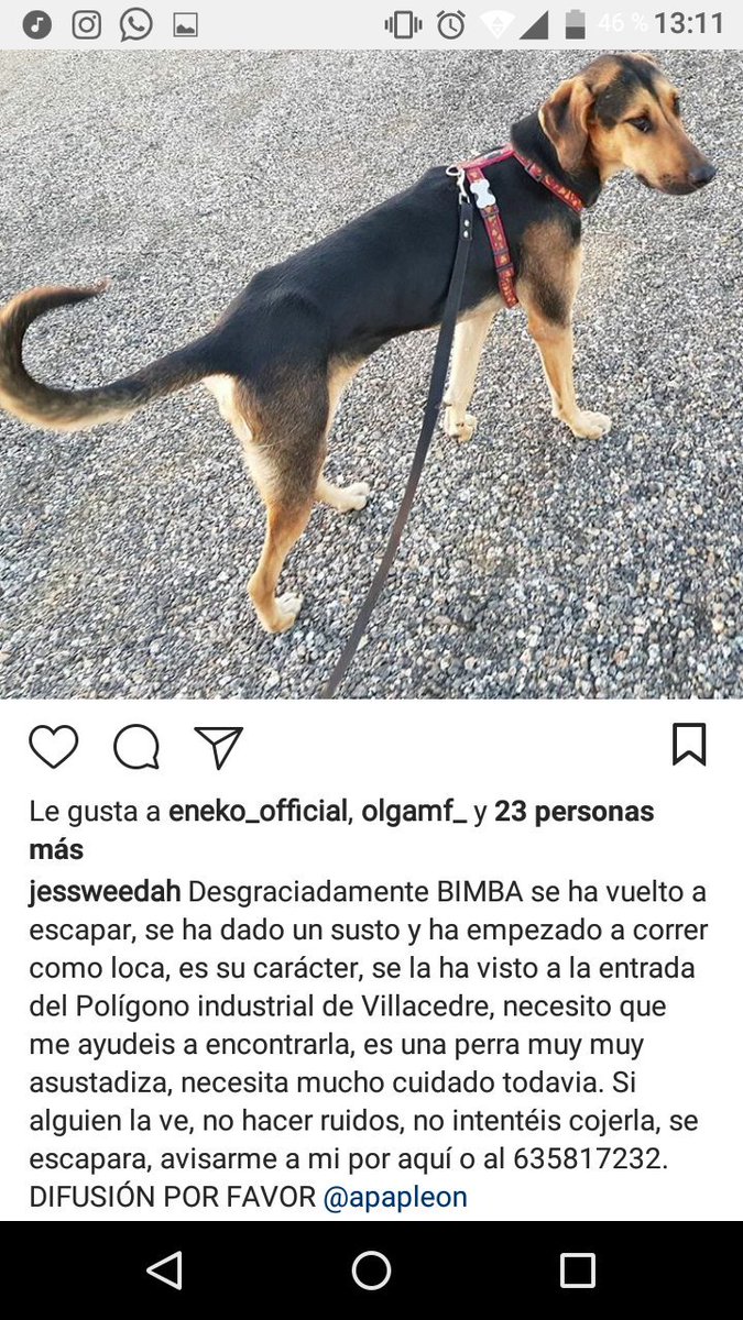 Behindyourself_'s tweet image. Si eres de León máxima difusión y rt aquí por favor