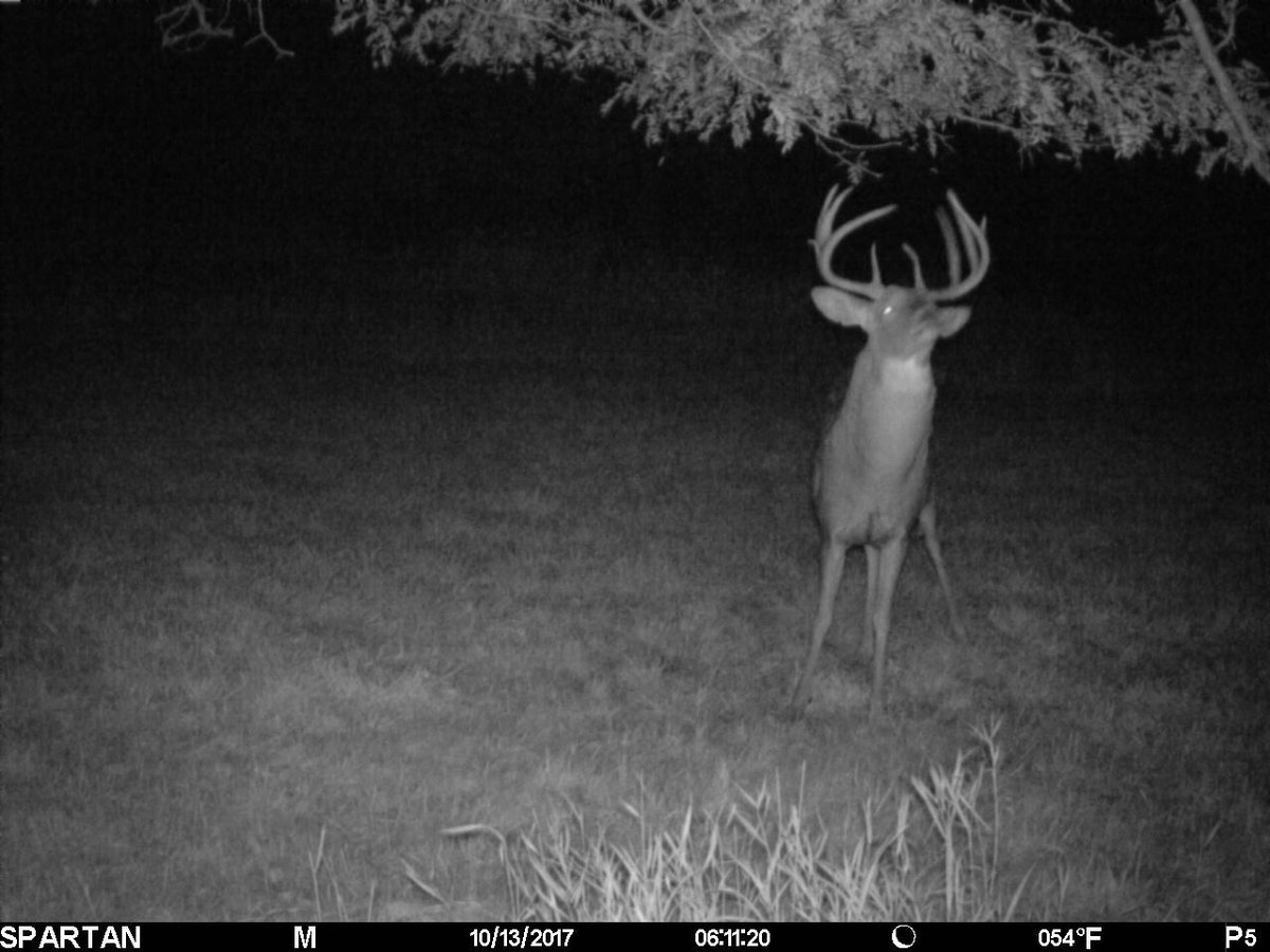 George Parris tweet media