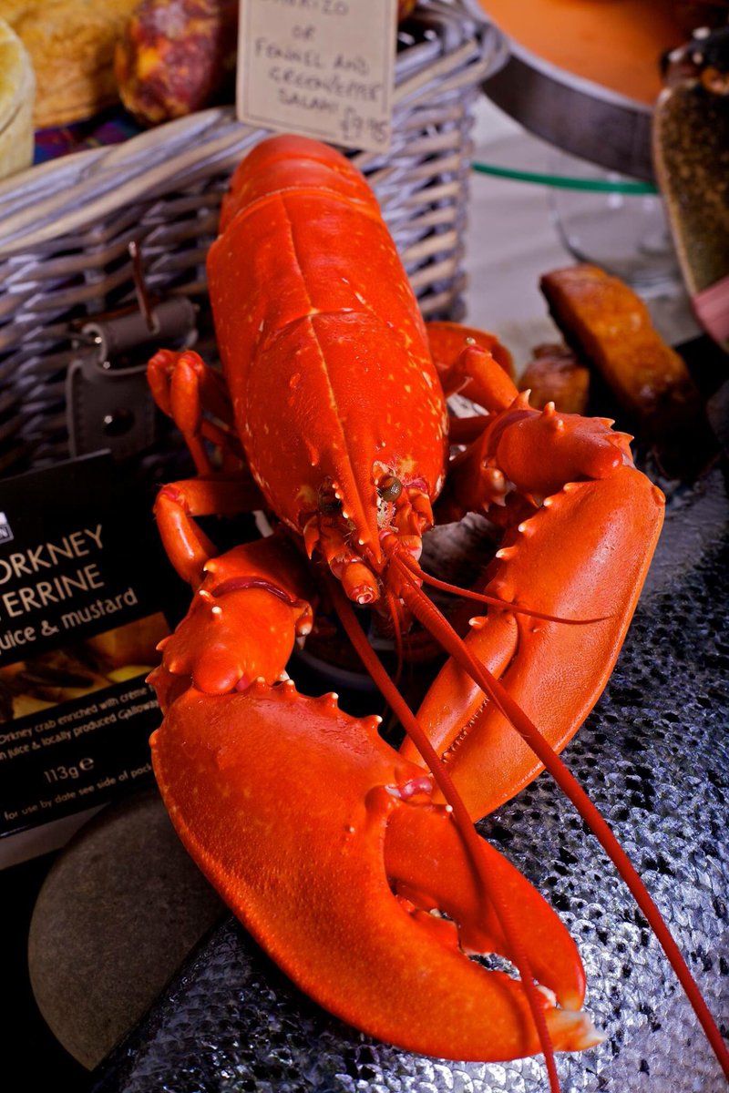 Last day #seafoodweek. To go out in style we are offering these whole cooked lobsters at very special price, while stocks last!