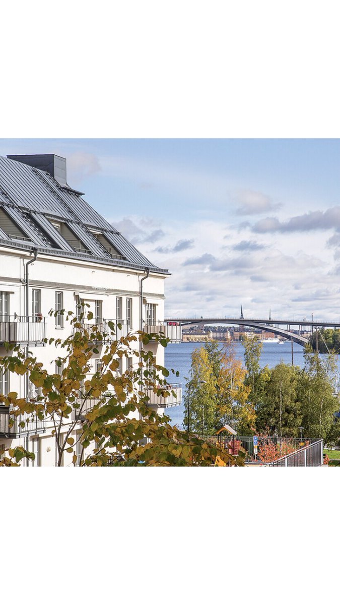 Daniel Brodin tweet media