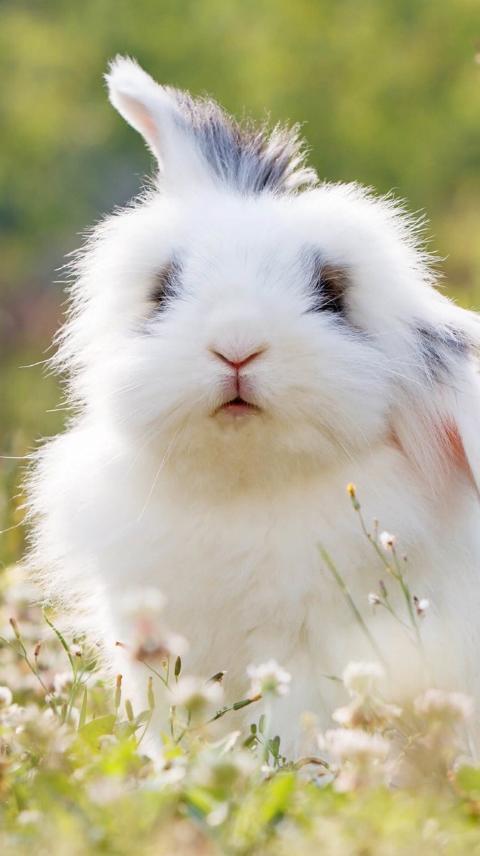 lev809's tweet image. Рябатя привет сколько лет сколько зим я не писал в Твитер 😜